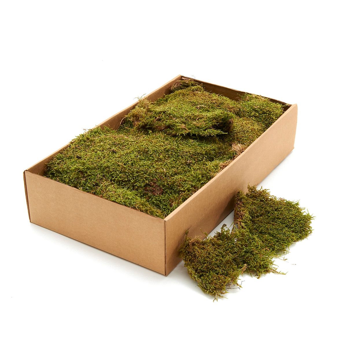 Deko Moos Mix 650 g Naturmoos Bastelmoos Floristik Modellbau getrocknet