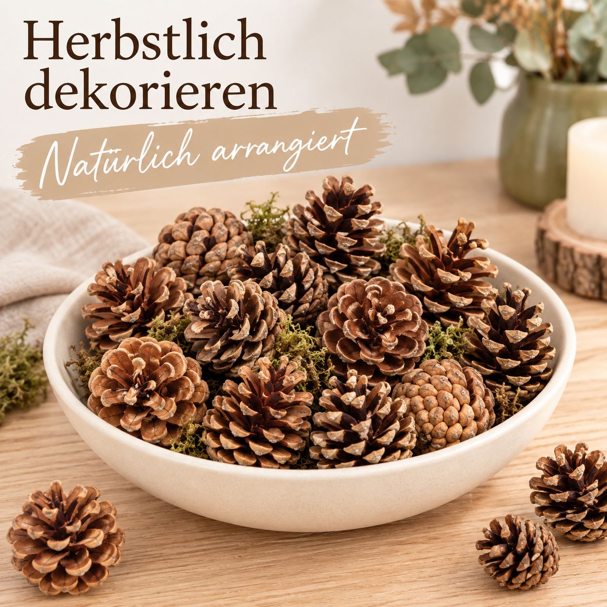 Tannenzapfen 1 kg ca. 50-70 Stk 5-6 cm Pinus nigra Kiefernzapfen Deko Natur