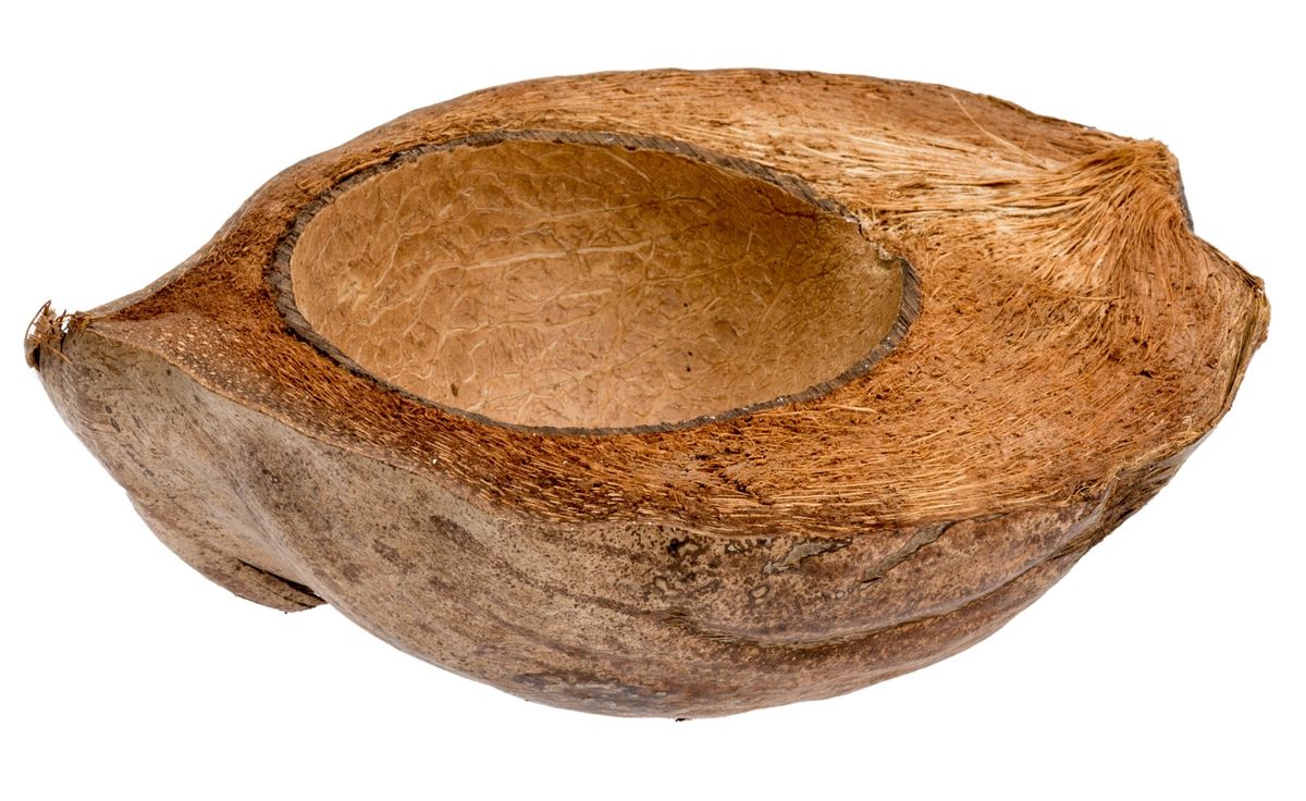NaDeco Kokosnuss halbiert 15-20cm  | Kokosschale Kokosnussschale Deko Kokosnuss