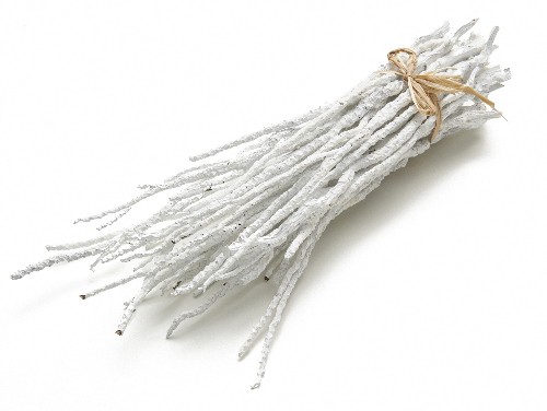 NaDeco® Bowty Zweig weiß 25-35cm | Bowty twig natural | exotische Dekoration