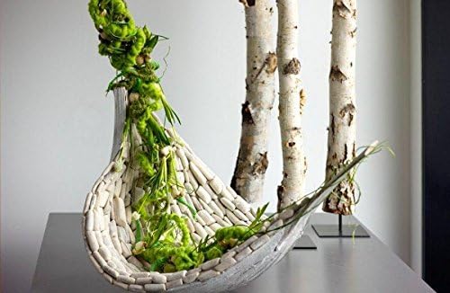 Birkenstamm Natur 1m  Deko-Holzstamm aus echter Birke fr Vasen,  Raumgestaltung & DIY |  3-10 cm | Nachhaltig & vielseitig einsetzbar |  NaDeco