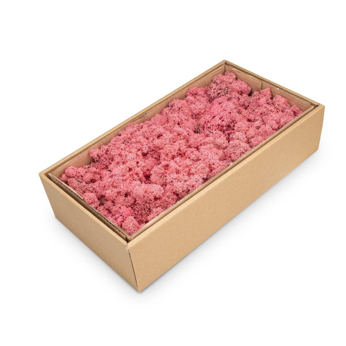 NaDeco Islandmoos 30 Farben zur Auswahl Rentier Moos Deko Bastel Moos Dekomoos - Bild 24 von 28