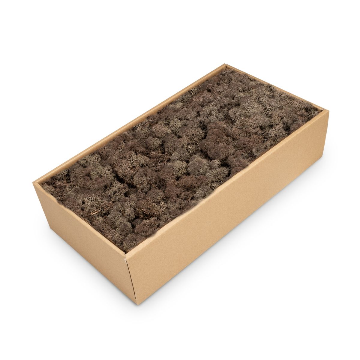 NaDeco Islandmoos 30 Farben zur Auswahl Rentier Moos Deko Bastel Moos Dekomoos - Bild 4 von 28