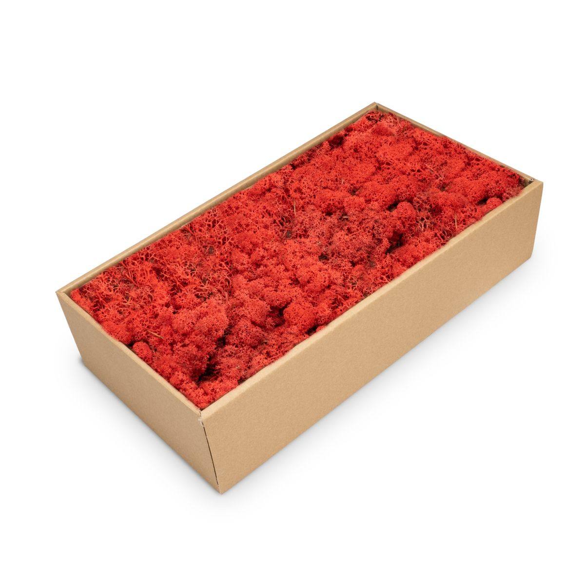 NaDeco Islandmoos 30 Farben zur Auswahl Rentier Moos Deko Bastel Moos Dekomoos - Bild 17 von 28