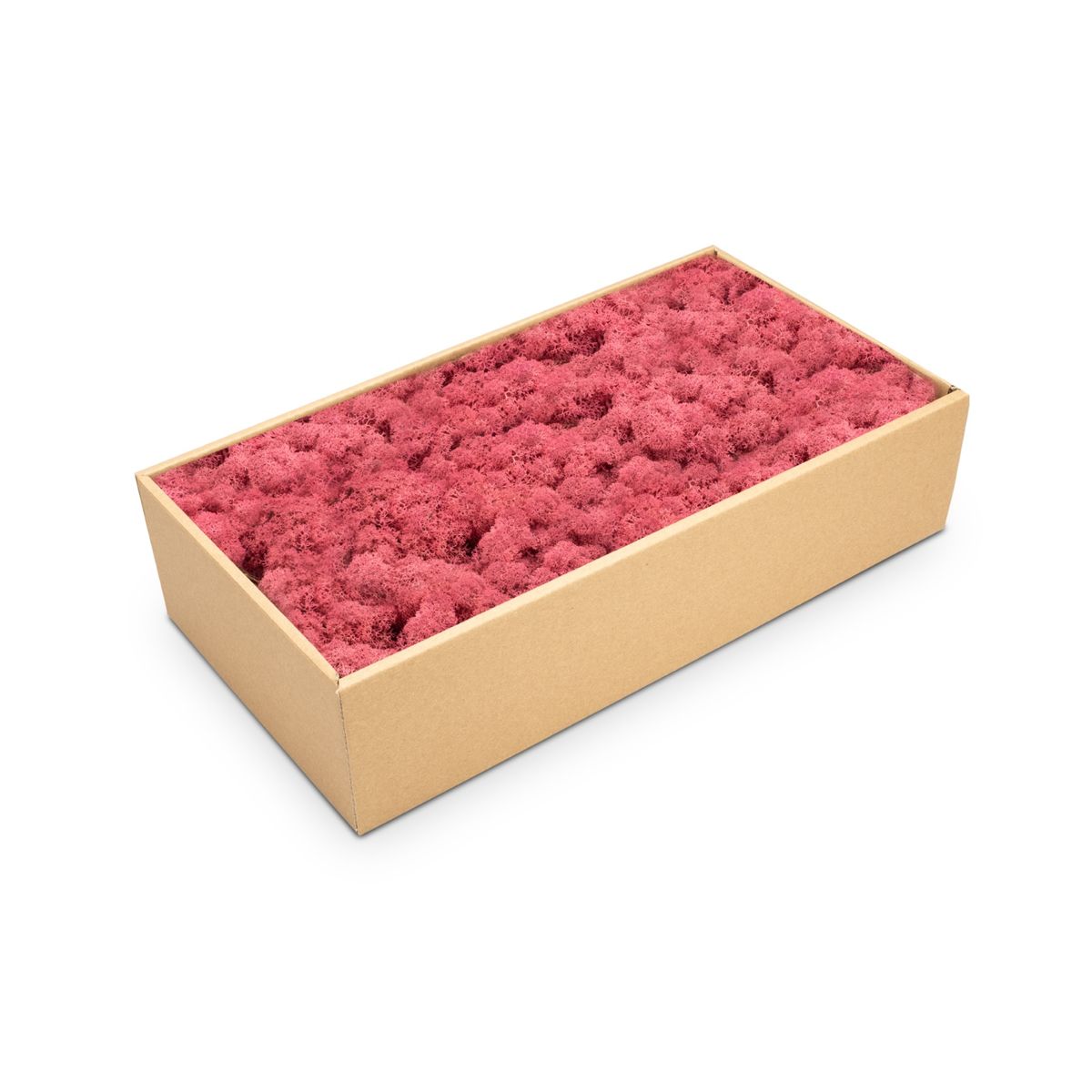 NaDeco Islandmoos 30 Farben zur Auswahl Rentier Moos Deko Bastel Moos Dekomoos - Bild 6 von 28