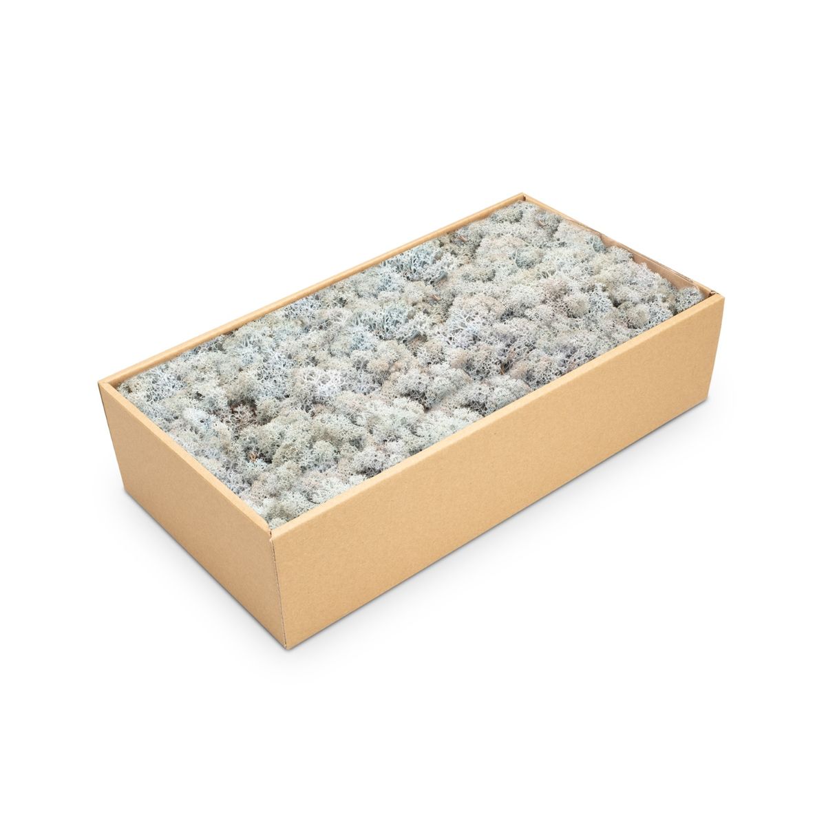 NaDeco Islandmoos 30 Farben zur Auswahl Rentier Moos Deko Bastel Moos Dekomoos - Bild 5 von 28