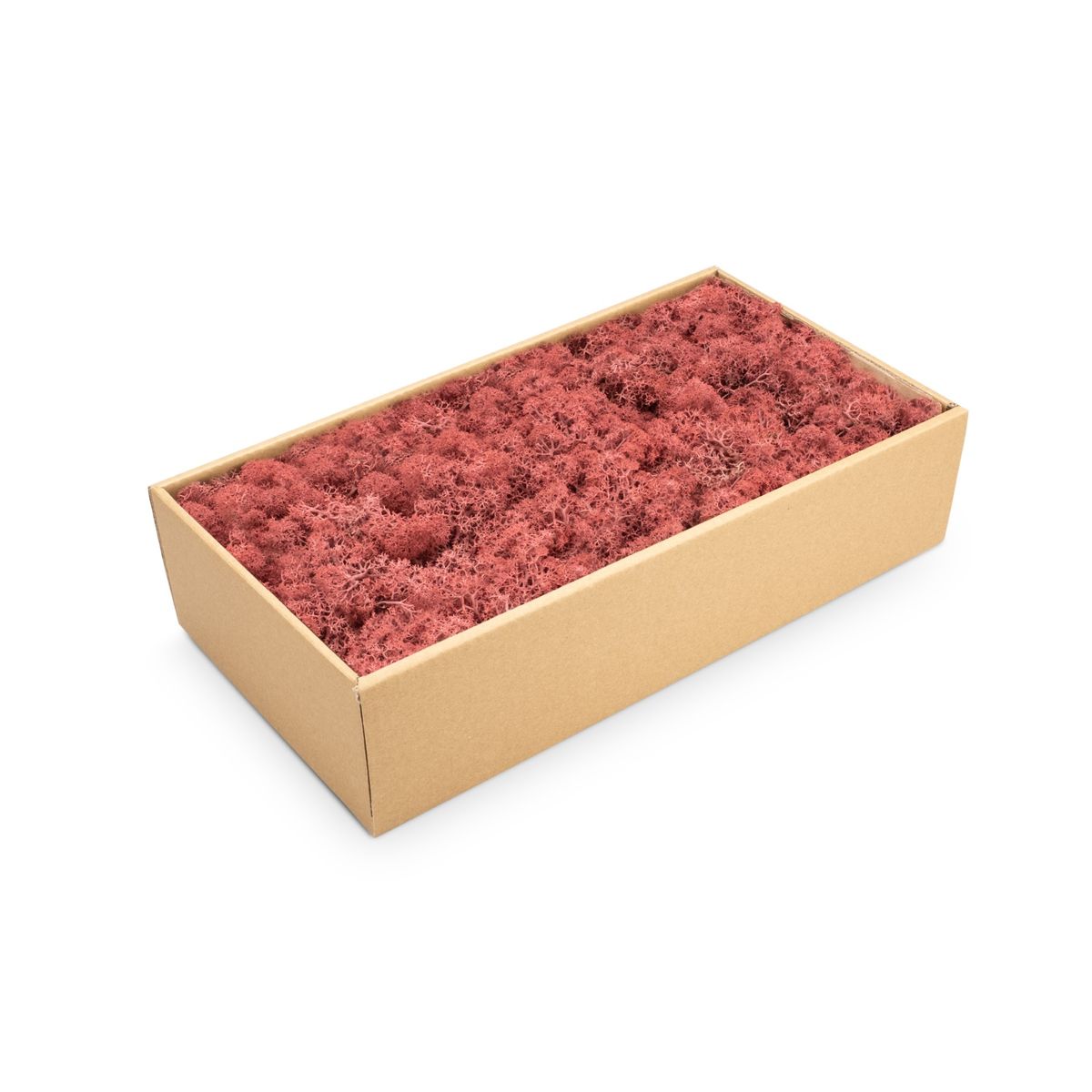 NaDeco Islandmoos 30 Farben zur Auswahl Rentier Moos Deko Bastel Moos Dekomoos - Bild 3 von 28