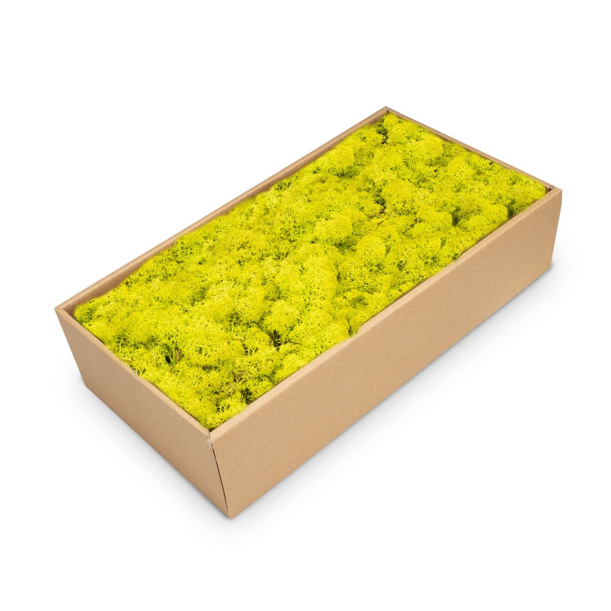 NaDeco Islandmoos 30 Farben zur Auswahl Rentier Moos Deko Bastel Moos Dekomoos - Bild 2 von 28