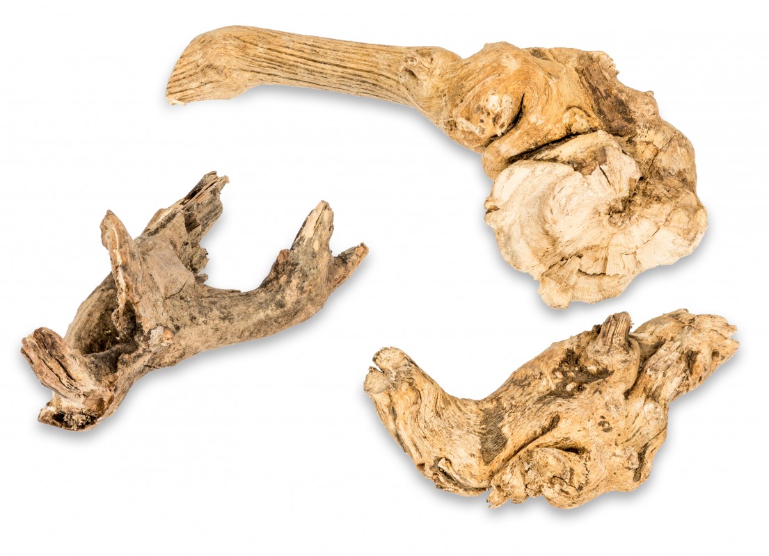 NaDeco Kuwa Wurzelstücke - Naturdeko Aus Maulbeerbaum (ca. 500g)