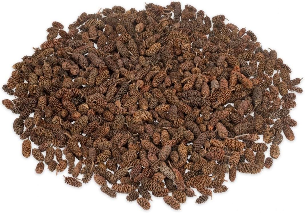 Erlen-Zapfen in Natur, Packung mit ca. 0,3kg Alnus glutinosa Black Alder Cones