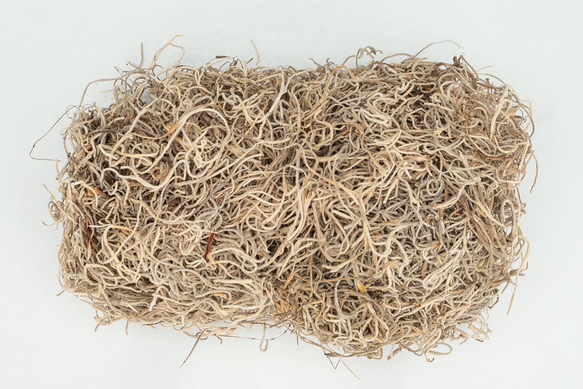 Getrocknetes Tillandsia Moos – 1 Liter Naturdeko Im 25 Cm Beutel – 100% Nachhaltig & CO₂-neutral Urb Anjgl Moos
