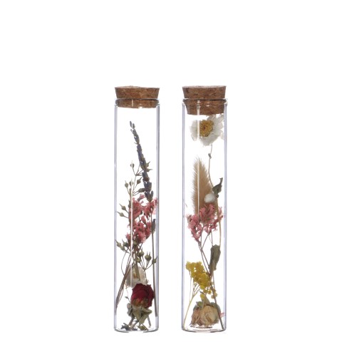 NaDeco Trockenblumen im Glas mit Korken in vielen Größen zur Auswahl Boho-Deko - Bild 7 von 11