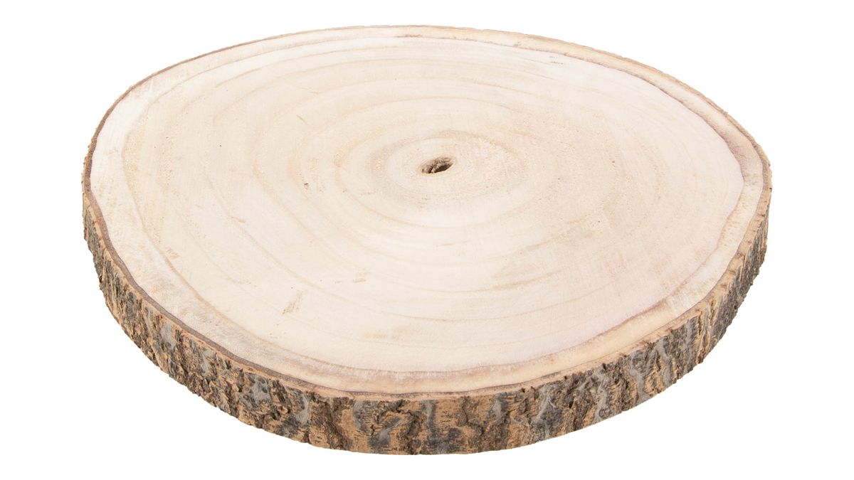 Paulownia Holzscheibe Ø 13 bis 40 cm Baumscheibe Holzteller Deko naturbelassen