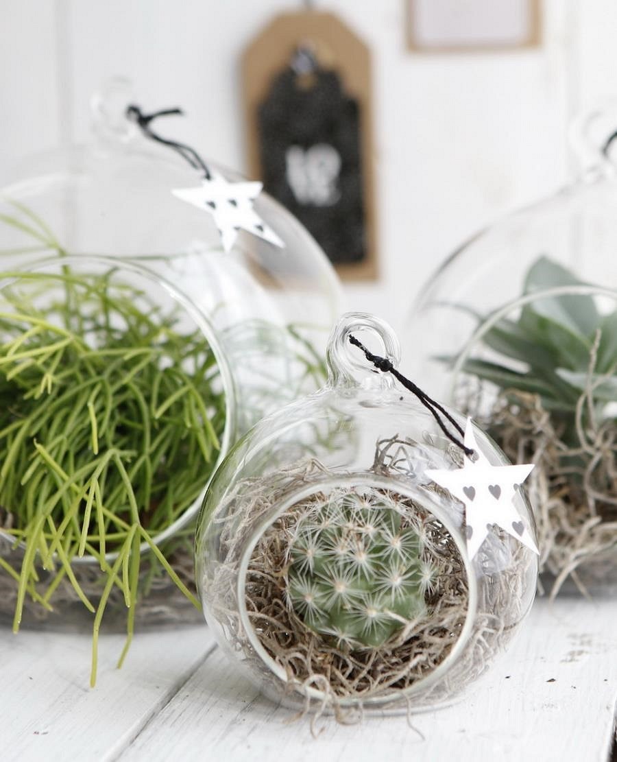 NaDeco Hängende Glaskugel Vase 3 Stk | Sukkulenten | Terrarium Glas