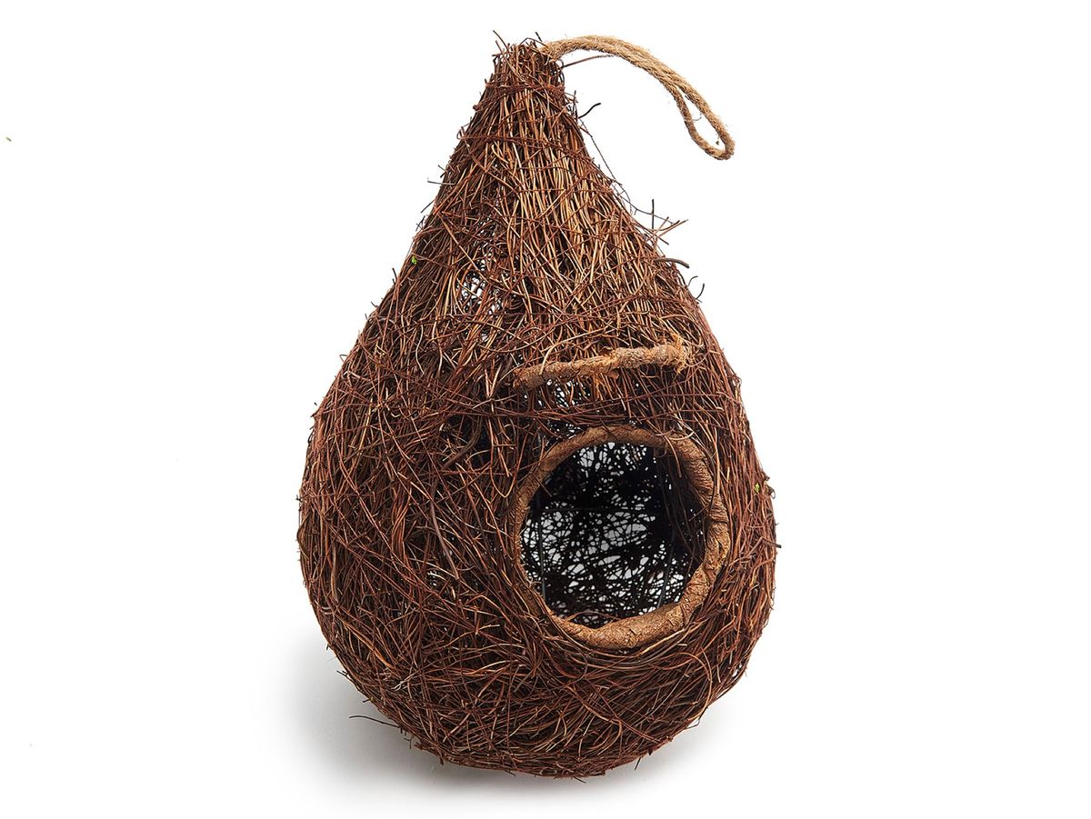 NaDeco Kokos Vogelhaus Mit Sitzstange - Vogelnest, Nistkasten & Futterhaus Aus Natur-Kokosnuss